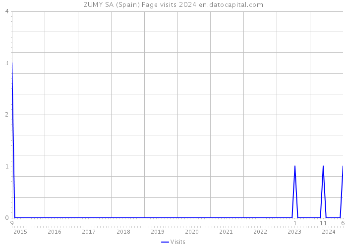 ZUMY SA (Spain) Page visits 2024 