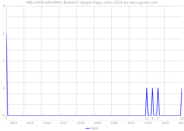 MELCHOR NAVARRO BLANCO (Spain) Page visits 2024 