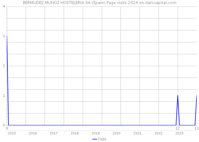 BERMUDEZ MUNOZ HOSTELERIA SA (Spain) Page visits 2024 