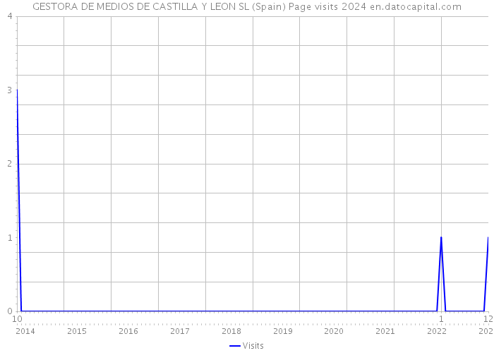 GESTORA DE MEDIOS DE CASTILLA Y LEON SL (Spain) Page visits 2024 