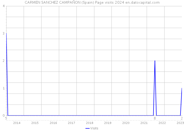 CARMEN SANCHEZ CAMPAÑON (Spain) Page visits 2024 
