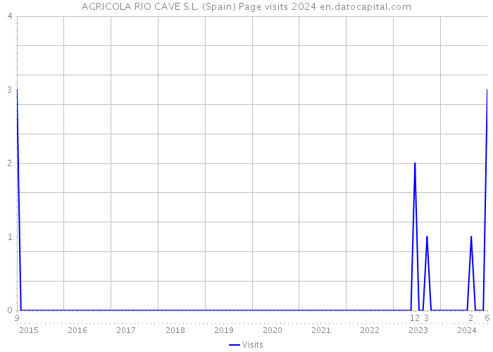 AGRICOLA RIO CAVE S.L. (Spain) Page visits 2024 