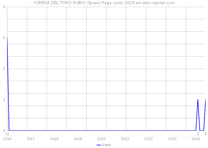 YURENA DEL TORO RUBIO (Spain) Page visits 2024 