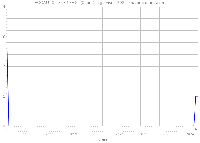 ECOAUTO TENERIFE SL (Spain) Page visits 2024 