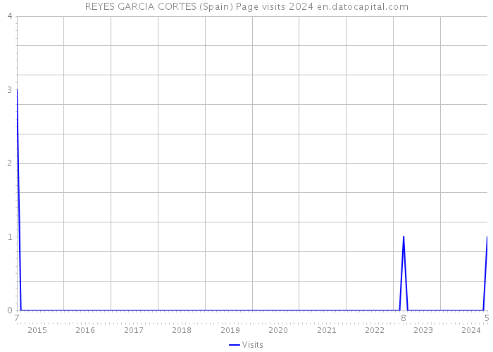 REYES GARCIA CORTES (Spain) Page visits 2024 