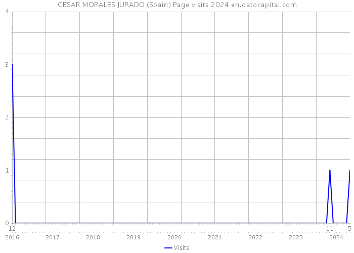 CESAR MORALES JURADO (Spain) Page visits 2024 