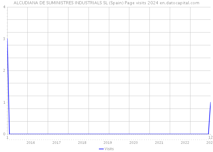 ALCUDIANA DE SUMINISTRES INDUSTRIALS SL (Spain) Page visits 2024 