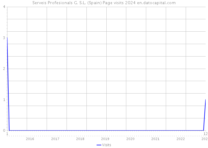 Serveis Profesionals G. S.L. (Spain) Page visits 2024 
