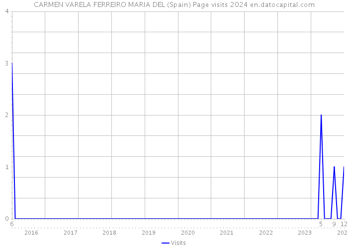 CARMEN VARELA FERREIRO MARIA DEL (Spain) Page visits 2024 