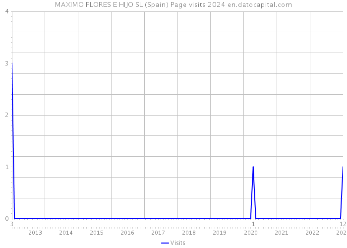 MAXIMO FLORES E HIJO SL (Spain) Page visits 2024 