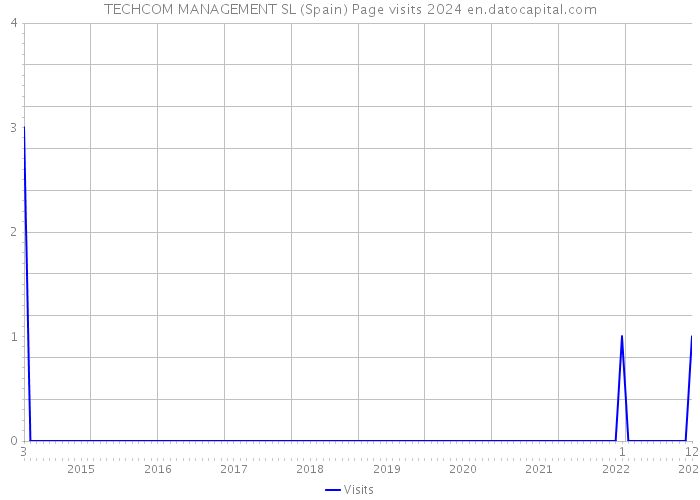 TECHCOM MANAGEMENT SL (Spain) Page visits 2024 