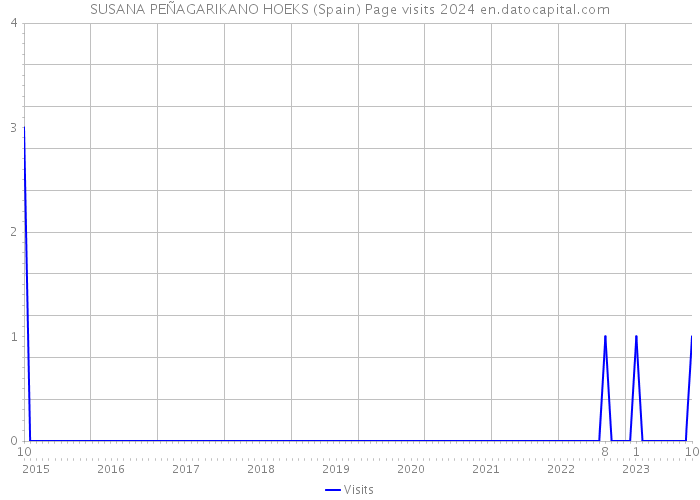 SUSANA PEÑAGARIKANO HOEKS (Spain) Page visits 2024 