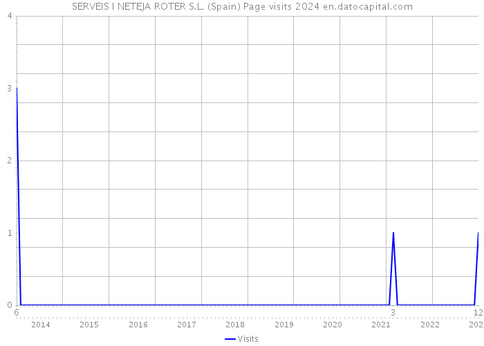 SERVEIS I NETEJA ROTER S.L. (Spain) Page visits 2024 