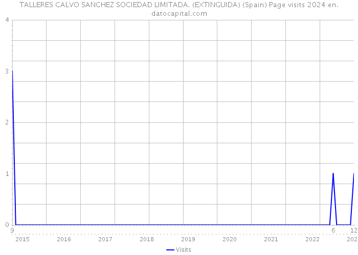 TALLERES CALVO SANCHEZ SOCIEDAD LIMITADA. (EXTINGUIDA) (Spain) Page visits 2024 