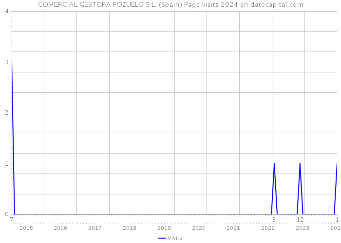 COMERCIAL GESTORA POZUELO S.L. (Spain) Page visits 2024 