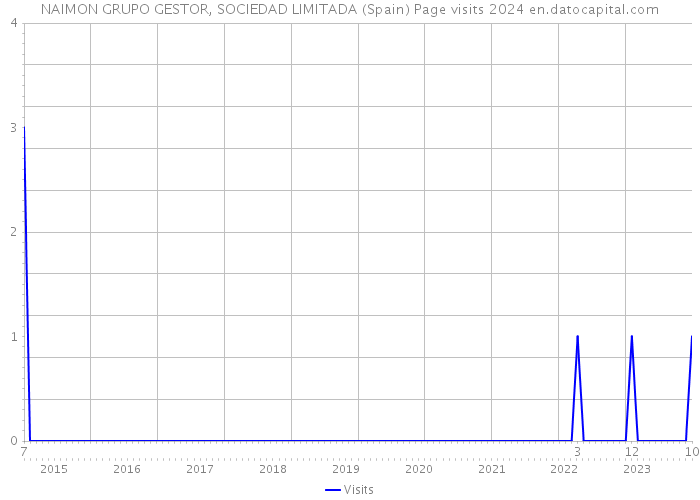 NAIMON GRUPO GESTOR, SOCIEDAD LIMITADA (Spain) Page visits 2024 