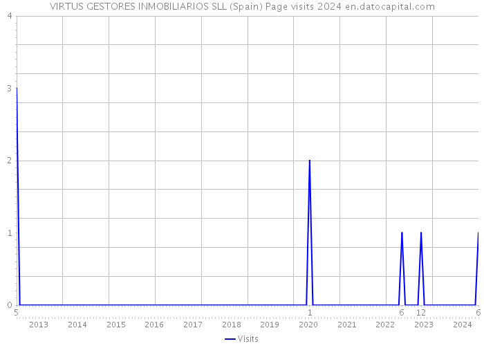 VIRTUS GESTORES INMOBILIARIOS SLL (Spain) Page visits 2024 