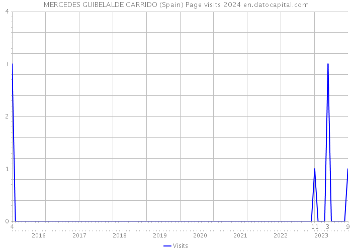 MERCEDES GUIBELALDE GARRIDO (Spain) Page visits 2024 