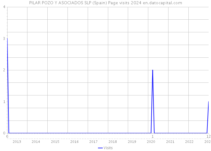 PILAR POZO Y ASOCIADOS SLP (Spain) Page visits 2024 