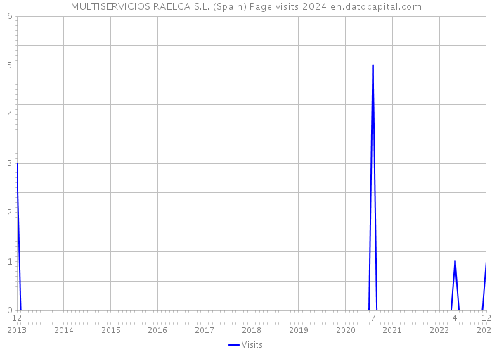 MULTISERVICIOS RAELCA S.L. (Spain) Page visits 2024 