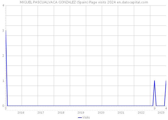 MIGUEL PASCUALVACA GONZALEZ (Spain) Page visits 2024 