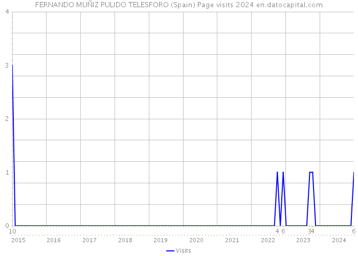 FERNANDO MUÑIZ PULIDO TELESFORO (Spain) Page visits 2024 