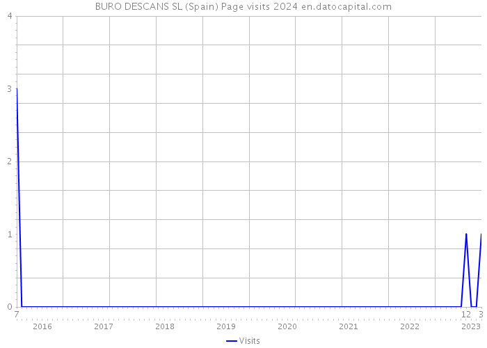 BURO DESCANS SL (Spain) Page visits 2024 