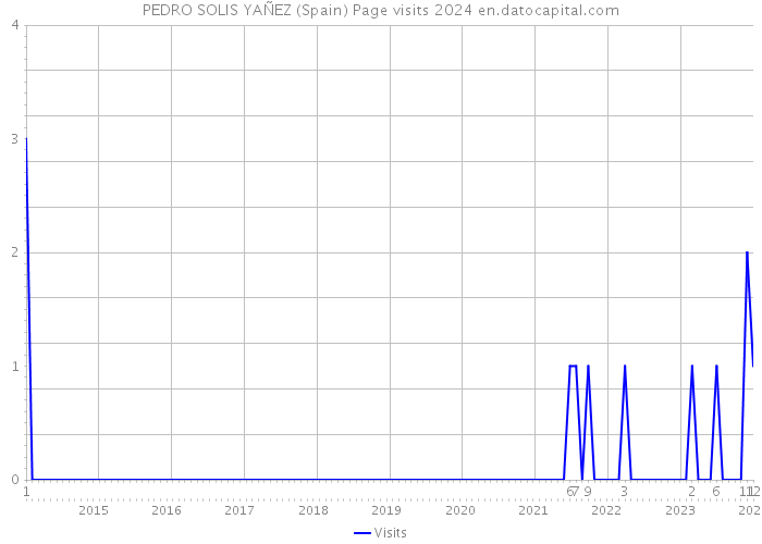 PEDRO SOLIS YAÑEZ (Spain) Page visits 2024 