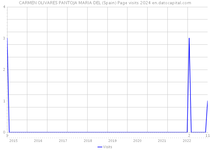 CARMEN OLIVARES PANTOJA MARIA DEL (Spain) Page visits 2024 