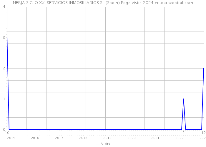 NERJA SIGLO XXI SERVICIOS INMOBILIARIOS SL (Spain) Page visits 2024 