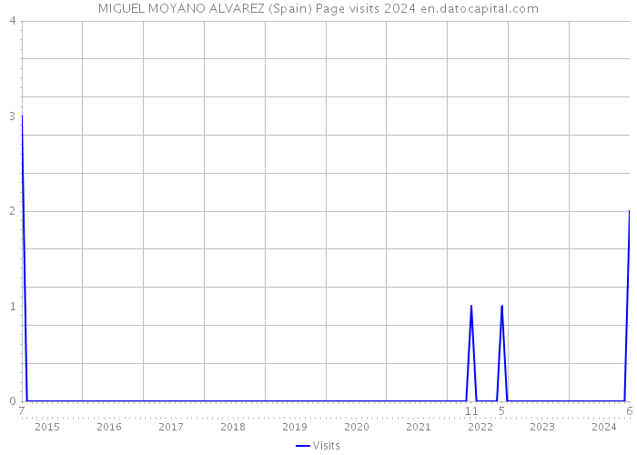 MIGUEL MOYANO ALVAREZ (Spain) Page visits 2024 