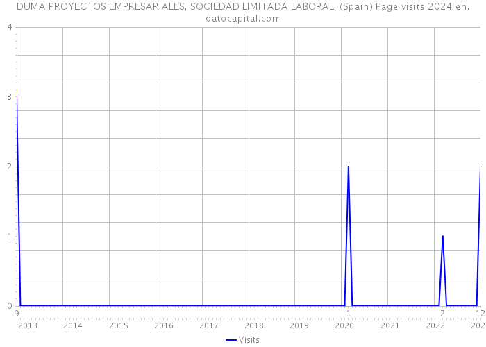 DUMA PROYECTOS EMPRESARIALES, SOCIEDAD LIMITADA LABORAL. (Spain) Page visits 2024 