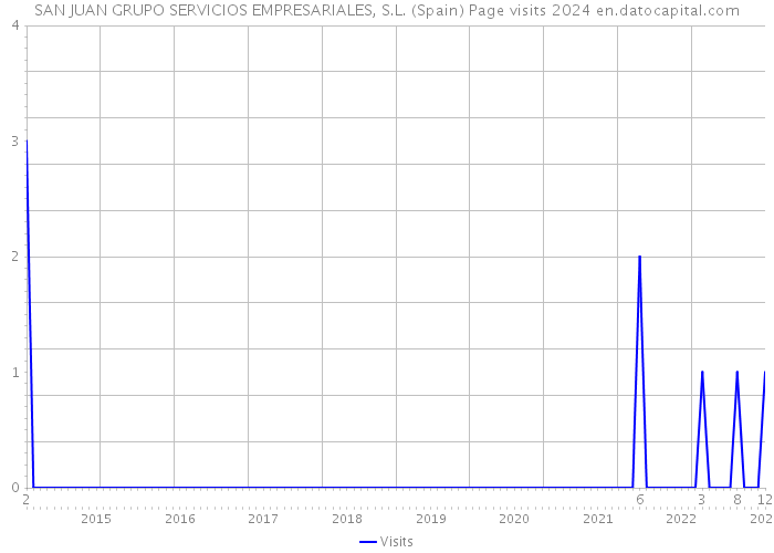 SAN JUAN GRUPO SERVICIOS EMPRESARIALES, S.L. (Spain) Page visits 2024 