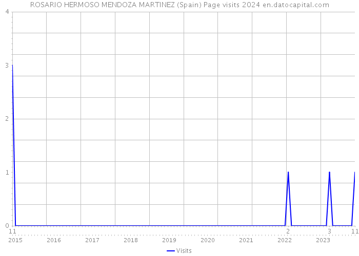 ROSARIO HERMOSO MENDOZA MARTINEZ (Spain) Page visits 2024 