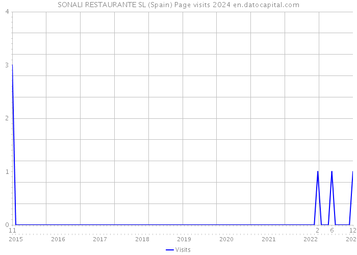 SONALI RESTAURANTE SL (Spain) Page visits 2024 