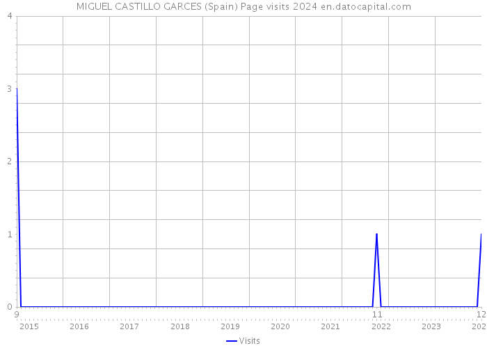 MIGUEL CASTILLO GARCES (Spain) Page visits 2024 