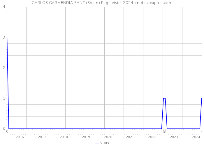 CARLOS GARMENDIA SANZ (Spain) Page visits 2024 