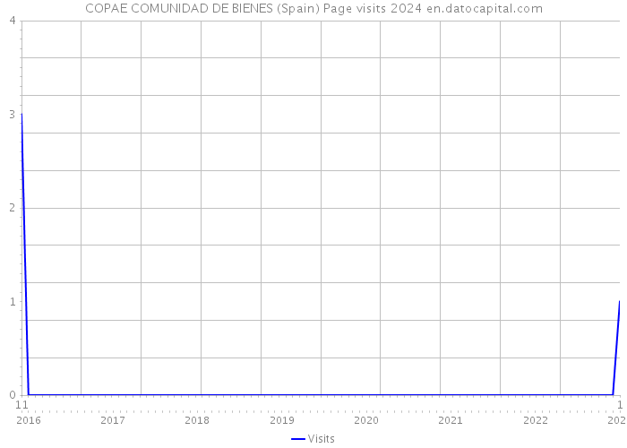 COPAE COMUNIDAD DE BIENES (Spain) Page visits 2024 