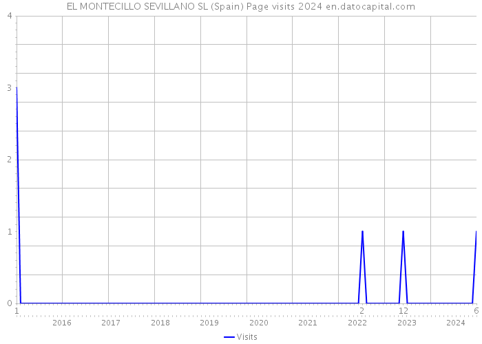 EL MONTECILLO SEVILLANO SL (Spain) Page visits 2024 