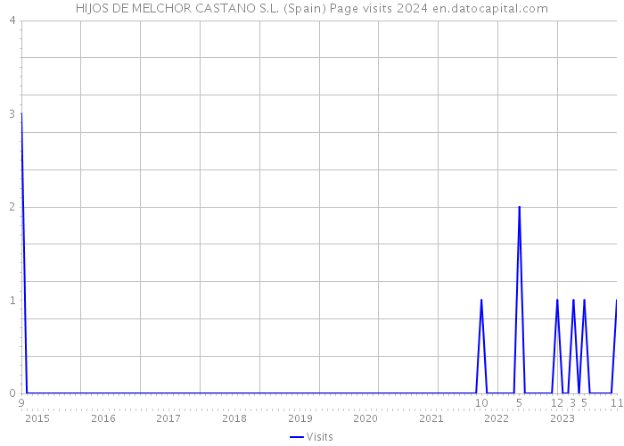 HIJOS DE MELCHOR CASTANO S.L. (Spain) Page visits 2024 