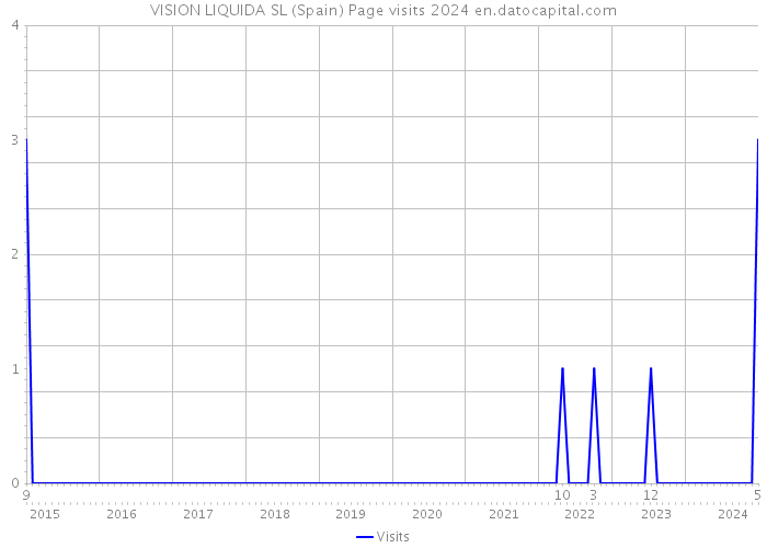 VISION LIQUIDA SL (Spain) Page visits 2024 