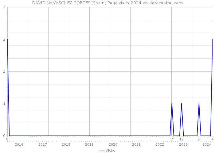DAVID NAVASCUEZ CORTES (Spain) Page visits 2024 