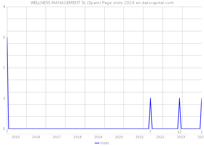 WELLNESS MANAGEMENT SL (Spain) Page visits 2024 