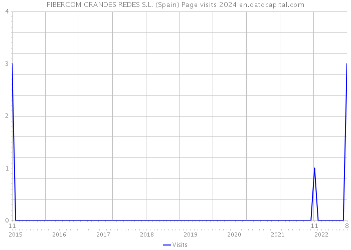 FIBERCOM GRANDES REDES S.L. (Spain) Page visits 2024 