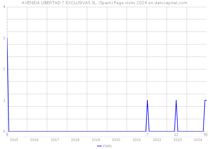 AVENIDA LIBERTAD 7 EXCLUSIVAS SL. (Spain) Page visits 2024 