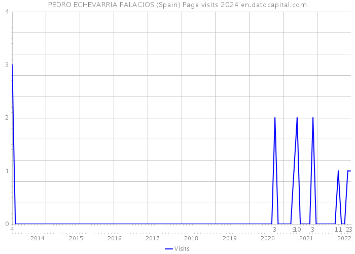 PEDRO ECHEVARRIA PALACIOS (Spain) Page visits 2024 
