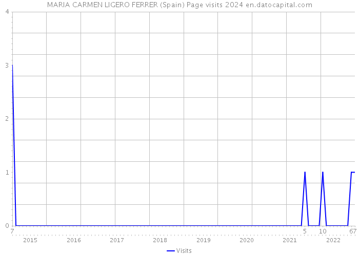 MARIA CARMEN LIGERO FERRER (Spain) Page visits 2024 