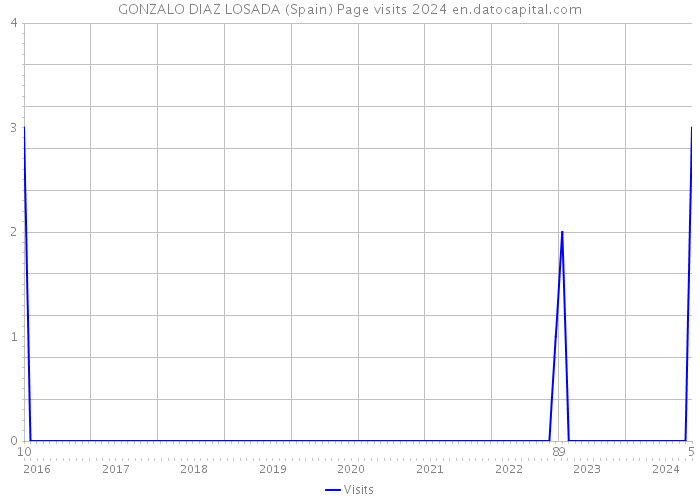 GONZALO DIAZ LOSADA (Spain) Page visits 2024 