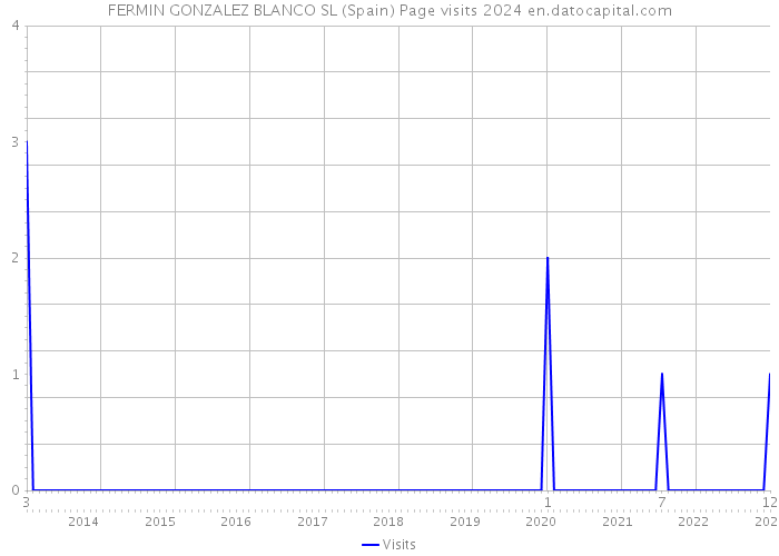 FERMIN GONZALEZ BLANCO SL (Spain) Page visits 2024 