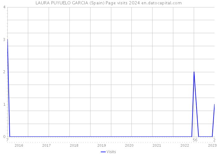 LAURA PUYUELO GARCIA (Spain) Page visits 2024 